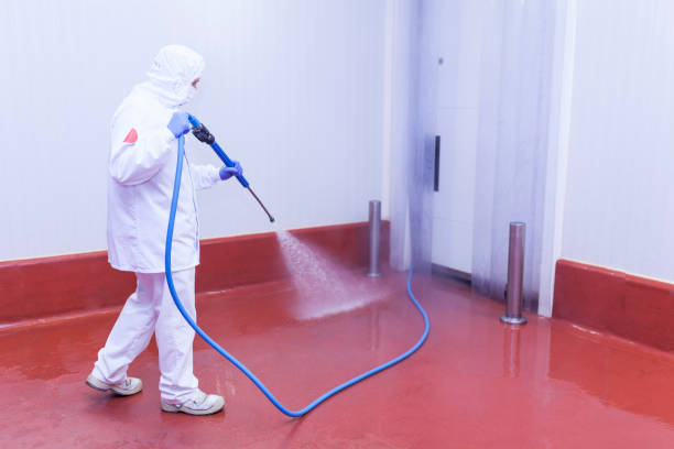 Best Paint Preparation  in South Gull Lake, MI
