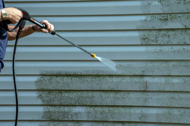 Best Building Exterior Washing  in South Gull Lake, MI