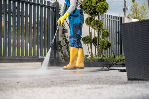 Best Animal Enclosure Cleaning  in South Gull Lake, MI